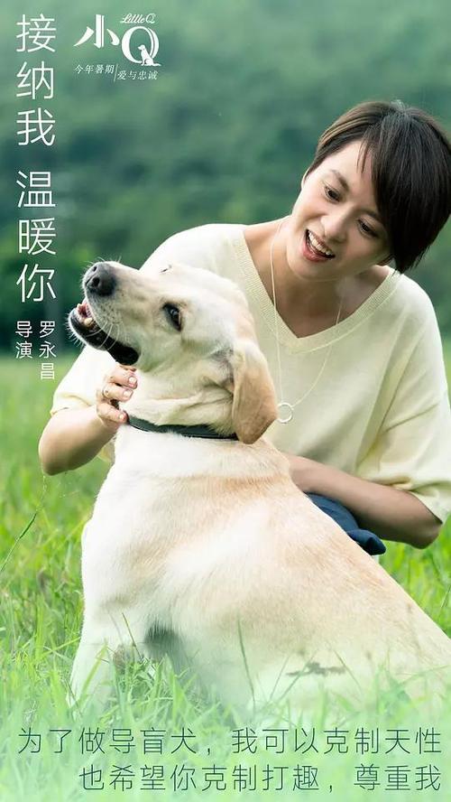怎么买计算机二级证